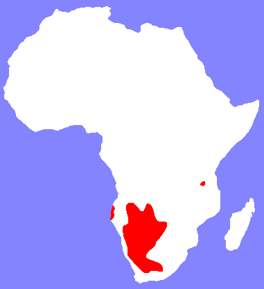 Khoisan languages