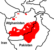 Pushto language at docs.verbix.com