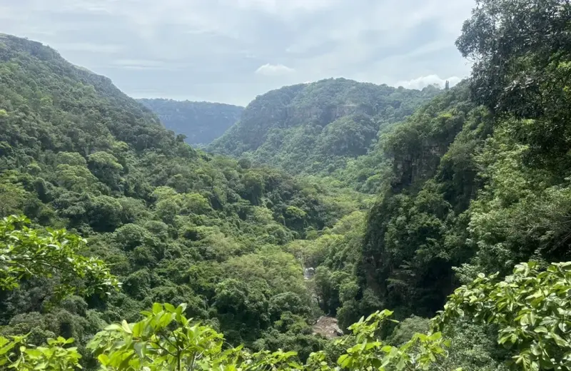 Landscape in South Africa